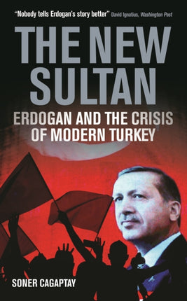 The New Sultan: Erdogan and the Crisis of Modern Turkey