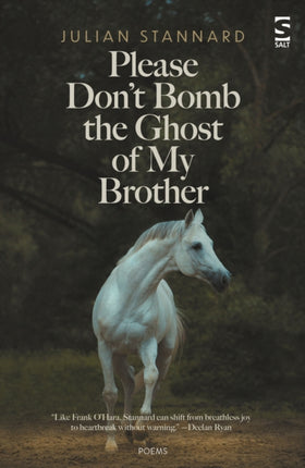 Please Don’t Bomb the Ghost of My Brother