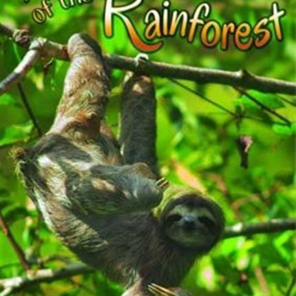 Amazing Animals of the Rainforest