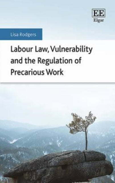 Labour Law, Vulnerability and the Regulation of Precarious Work