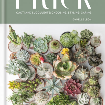 Prick: Cacti and Succulents: Choosing, Styling, Caring