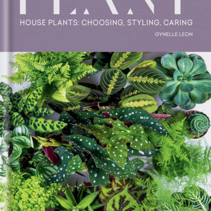 Plant: House plants: choosing, styling, caring