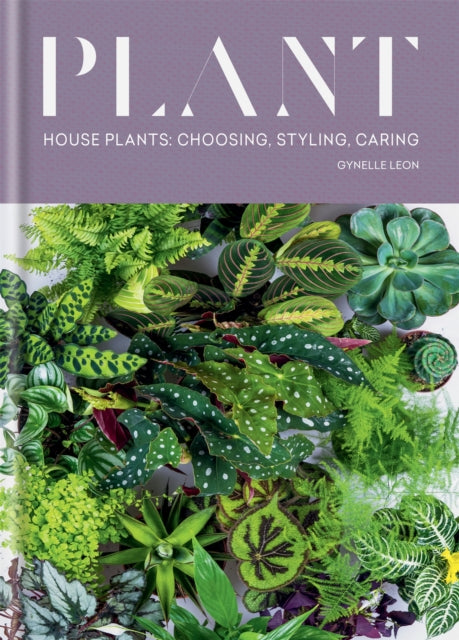 Plant House Plants Choosing Styling Caring