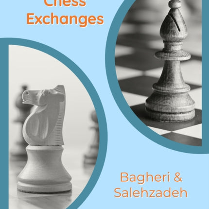 Understanding Chess Exchanges