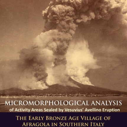 Micromorphological Analysis of Activity Areas Sealed by Vesuvius’ Avellino Eruption: The Early Bronze Age Village of Afragola in Southern Italy