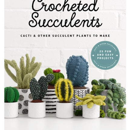 Crocheted Succulents