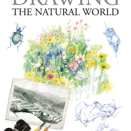 Drawing the Natural World