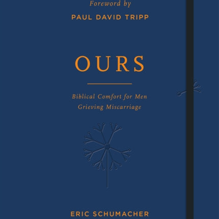 Ours: Biblical Comfort for Men Grieving Miscarriage