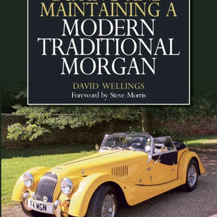 Buying and Maintaining a Modern Traditional Morgan