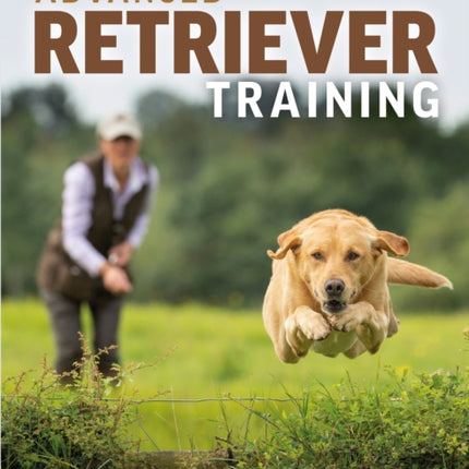 Advanced Retriever Training