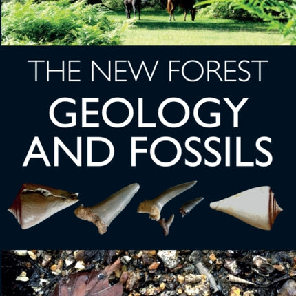 The New Forest: Geology and Fossils