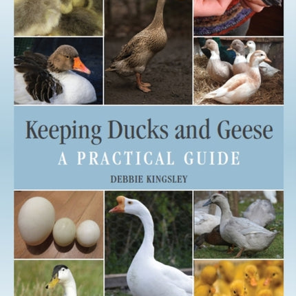 Keeping Ducks and Geese: A Practical Guide