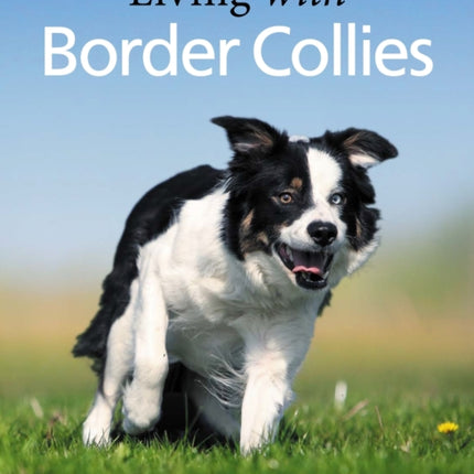 Living with Border Collies