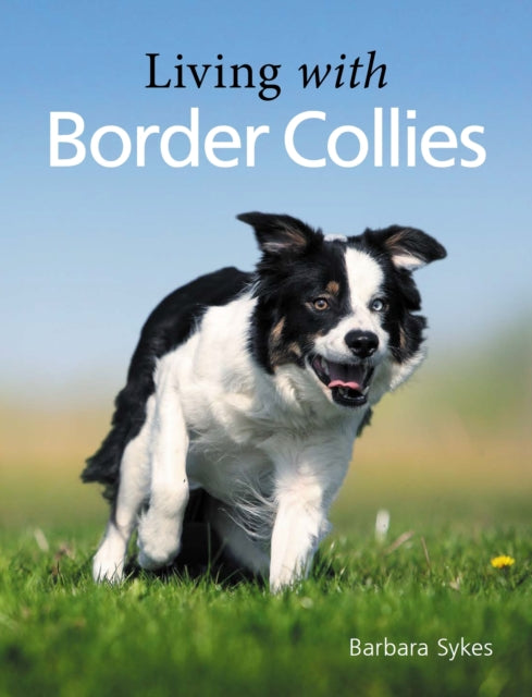 Living with Border Collies