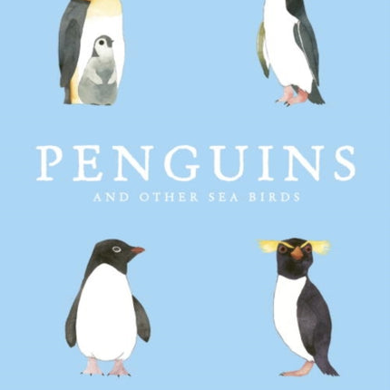 Penguins and Other Sea Birds