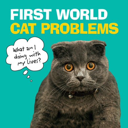 First World Cat Problems: What am I doing with my