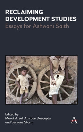 Reclaiming Development Studies: Essays for