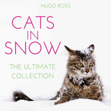 Cats in Snow: The Ultimate Collection