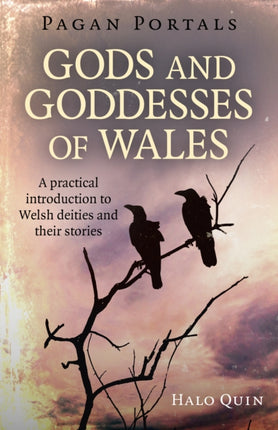 Pagan Portals - Gods and Goddesses of Wales: A practical introduction to Welsh deities and their stories