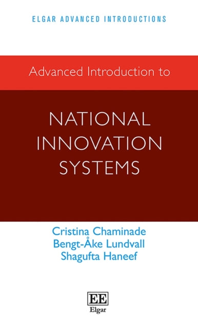 Advanced Introduction to National Innovation Systems