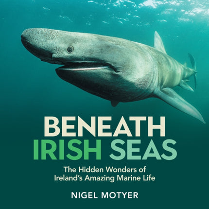 Beneath Irish Seas