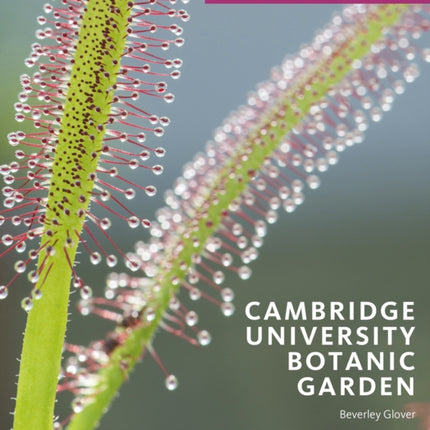 Cambridge University Botanic Garden: Director's Choice