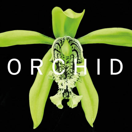 ORCHID: Marie Selby Botanical Gardens