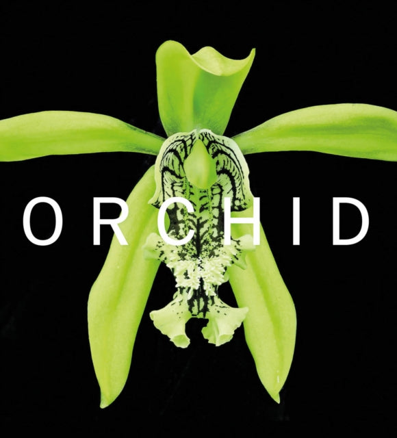 ORCHID: Marie Selby Botanical Gardens