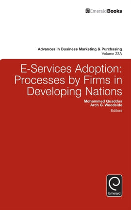 E-Services Adoption: Processes by Firms in Developing Nations