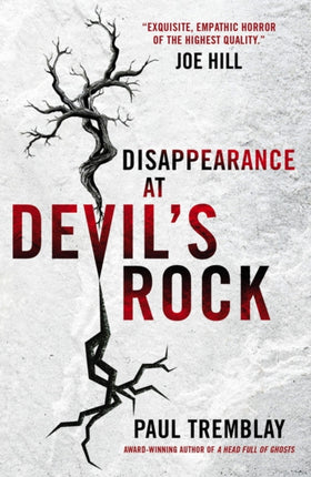 Disappearance at Devil's Rock: A Novel