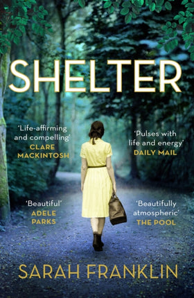 Shelter: ‘One of the year's hottest debuts’