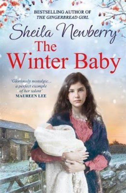 The Winter Baby: A perfect, heartwarming winter story from the Queen of Family Saga