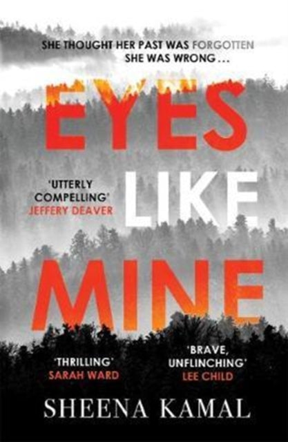 Eyes Like Mine: 'Utterly compelling . . . Will stay with you for a long, long time' Jeffery Deaver