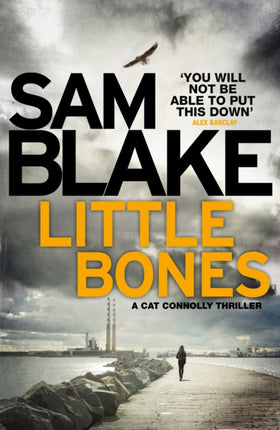 Little Bones: A disturbing Irish crime thriller