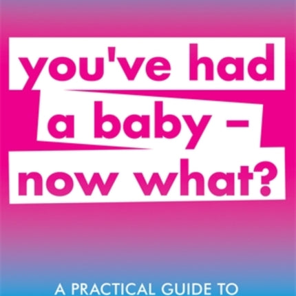 A Practical Guide to Family Psychology: You've had a baby - now what?