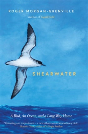 Shearwater: A Bird, an Ocean, and a Long Way Home