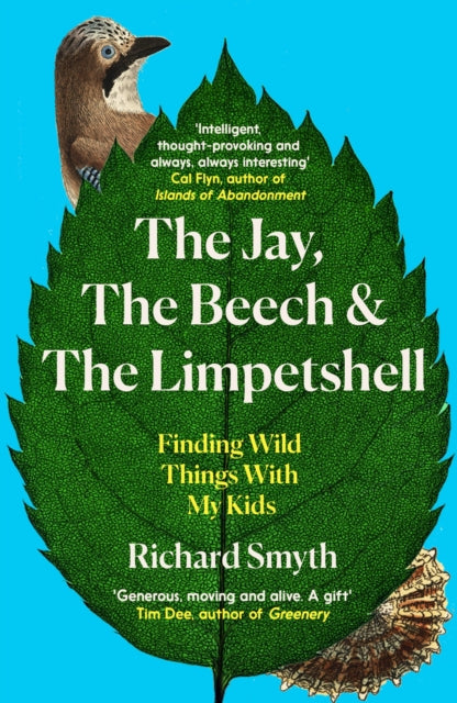 The Jay The Beech and the Limpetshell