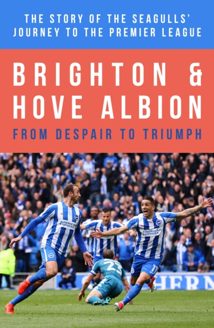 Brighton Up: The Inside Story of Brighton & Hove Albion's Journey From Despair to Triumph and the Premier League