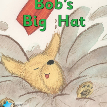 Bob and the Hat: Phonics Phase 2