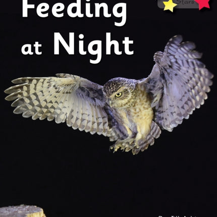 Feeding at Night: Phonics Phase 3