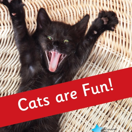 Cats are Fun!: Phonics Phase 4