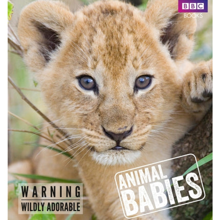 Animal Babies