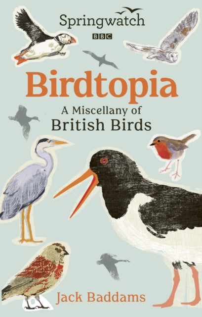 Springwatch Birdtopia