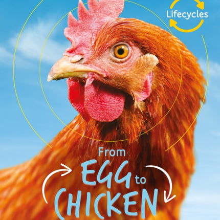 Lifecycles: Egg to Chicken