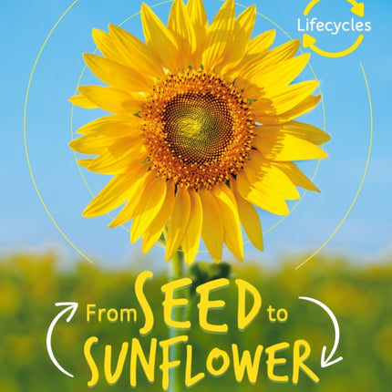 Lifecycles: Seed to Sunflower