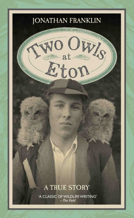 Two Owls at Eton