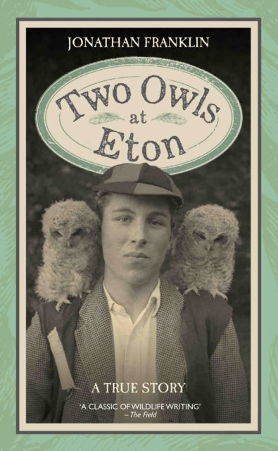 Two Owls at Eton