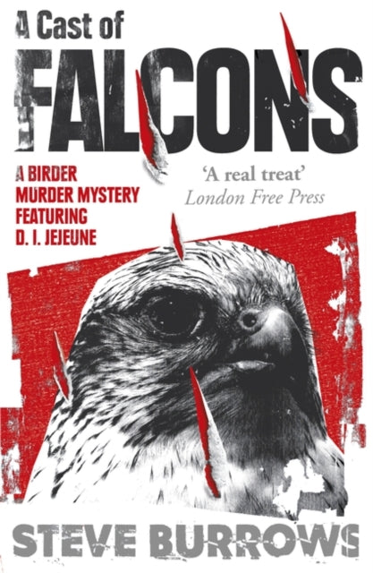 A Cast of Falcons: A Birder Murder Mystery