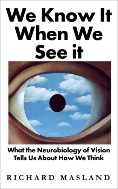 We Know It When We See It: What the Neurobiology of Vision Tells Us About How We Think