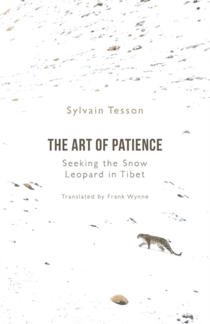 The Art of Patience: Seeking the Snow Leopard in Tibet